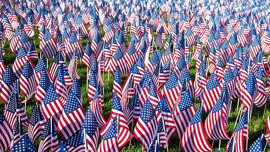 american-flags-u-s-a-flaglet-lot-wallpaper-thumb.jpg