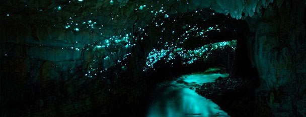 Wallpaper Waitomo Glowworm Caves in New Zealand.jpg