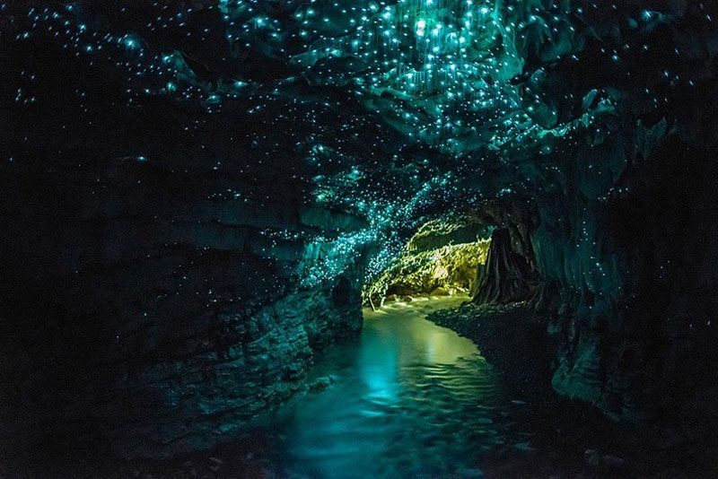 Wallpaper waitomo-glowworm-caves-north-island-new-zealand.jpg