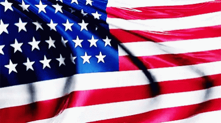 windy-american-flag-moving-tdvfyh1pohvu1xnu.gif