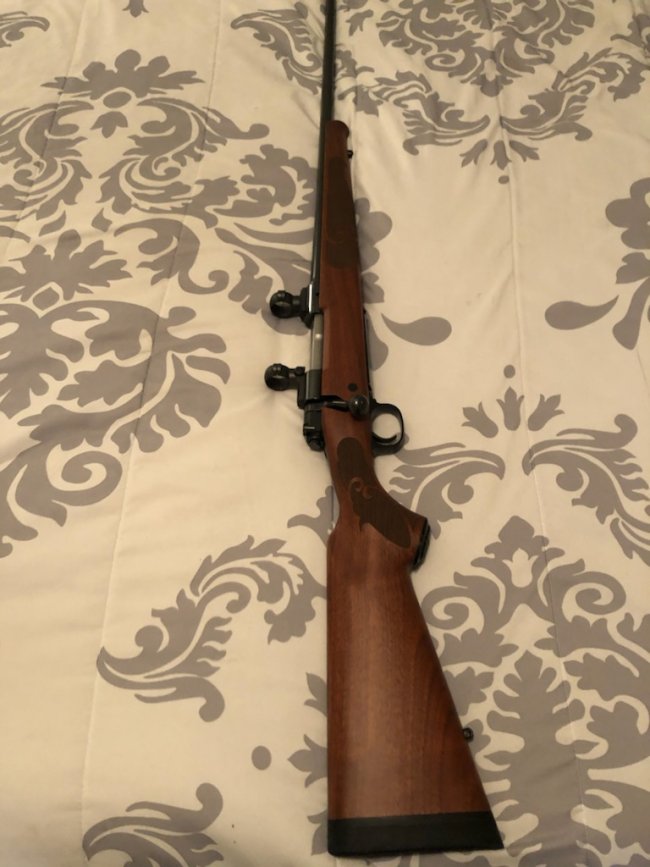 Winchester 70 1.jpg