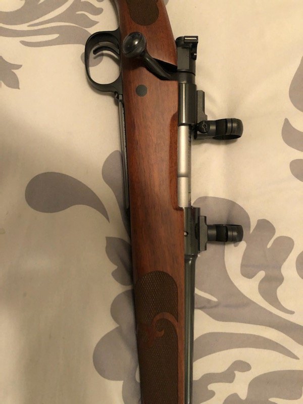 Winchester 70 4.jpg