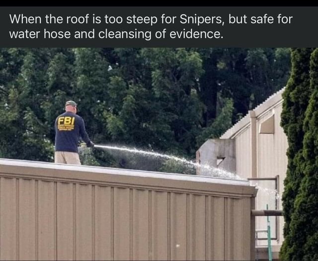 cleaning the roof.jpg