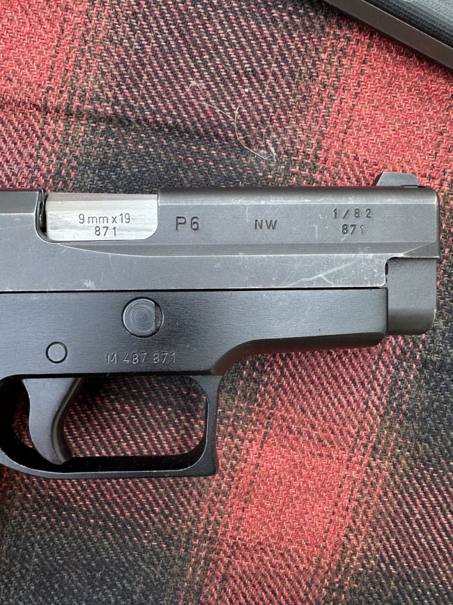 Sig P6 6.jpg