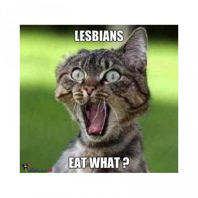 Lesbians.jpg