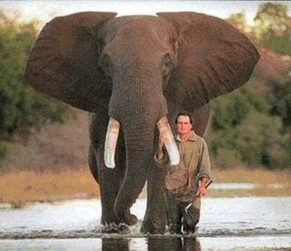 not-the-same-elephant.jpg