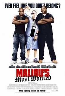 220px-Malibus_most_wanted_film_poster.jpg